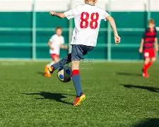 刘国梁力挺,打击病态粉,丝圈,世界杯竞猜,2026世界杯,竞猜策略,实时分析,赛事预测