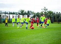 意媒,卡拉菲奥里,恐缺席两三,世界杯竞猜,2026世界杯,竞猜策略,实时分析,赛事预测