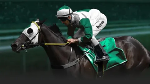 2025-2026赛季欧冠八强抽签规则详细解读